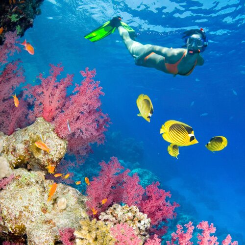 snorkeling di Pulau Seribu